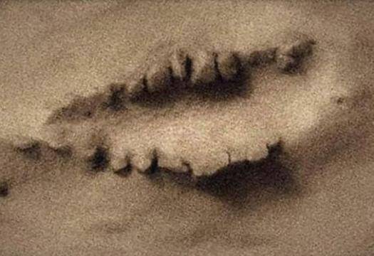 Уфолози погледнаха спътникова снимка на Марс и видяха нещо адски мистериозно (ВИДЕО)