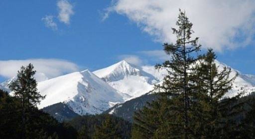 ВАС отмени окончателно промените в плана за управление на парк „Пирин”
