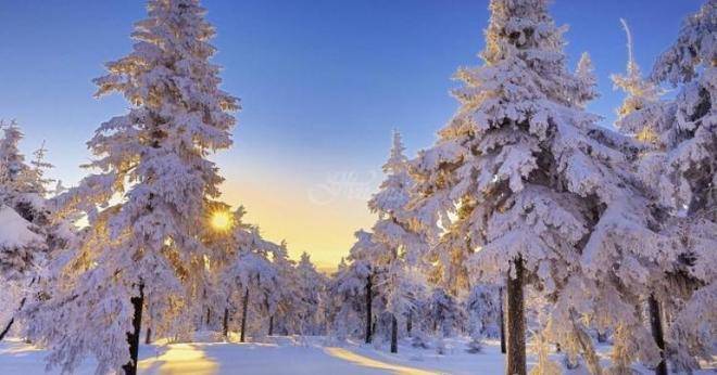 Ако сте Рак, Скорпион и Риби в четвъртък неотложен ангажимент, Близнаци, Везни или Водолей срещи по приятен повод