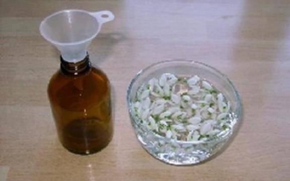 Магически народен лек за зрение и памет! Заливаме кокичета с ракия и