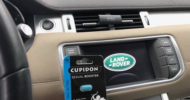 Всичко за ерекцията