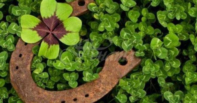 Любимците на съдбата са тези три зодии