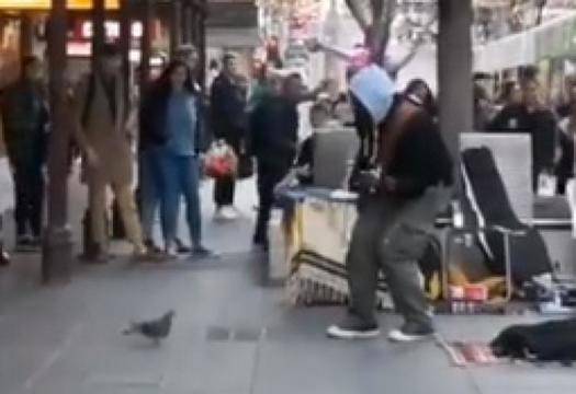 Уникално ВИДЕО: Откриха най-танцувалния гълъб на света