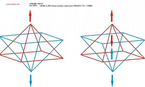 Многообразие на Възприятието
