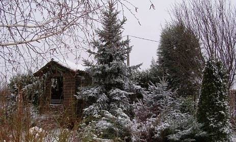 Днес облачно с максимални температури между 6° и 11°