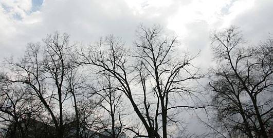 Днес облачно с валежи от дъжд. Максималните температури ще са между 6° и 11°