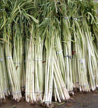 100 г праз на ден за здраво сърце