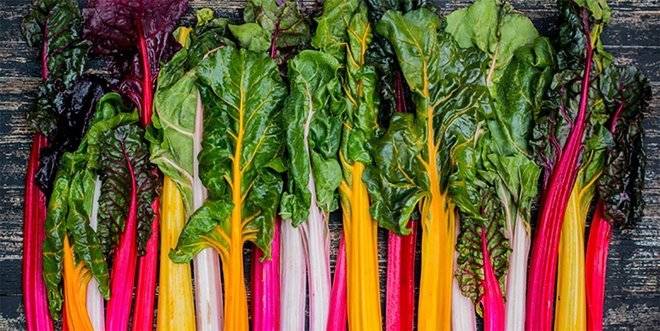 Пет от най-здравословните храни през зимата