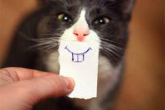 Вицове на Radio VOX за 26-ти януари 2019-та година (и готино видео)