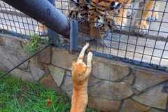 Вицове на Radio VOX за 27 януари (и смешно видео)