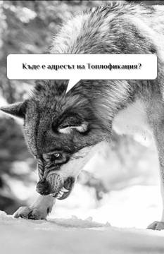 Новите абонати на Топлофикация (видео на ужасите)