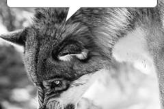 Новите абонати на Топлофикация (видео на ужасите)