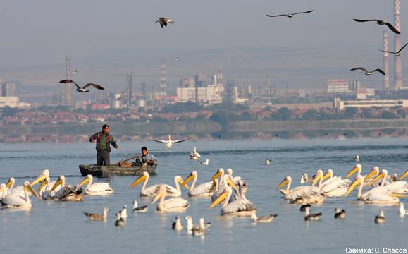 РИОСВ-Бургас ще отбележи Деня на влажните зони с два открити урока