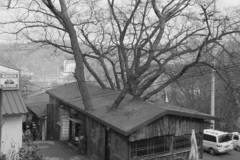 Вицове на Radio VOX за 30 януари (и плашещо видео)