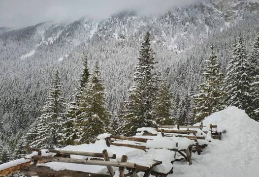 Леден апокалипсис в Румъния (СНИМКИ)