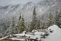 Леден апокалипсис в Румъния (СНИМКИ)