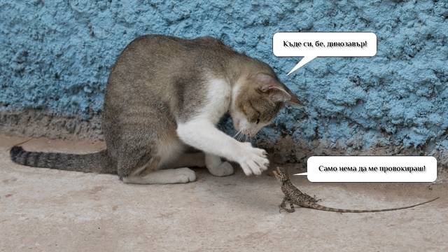 Вицове на Radio VOX за 1-ви февруари (и забавно видео)