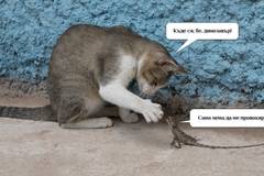 Вицове на Radio VOX за 1-ви февруари (и забавно видео)