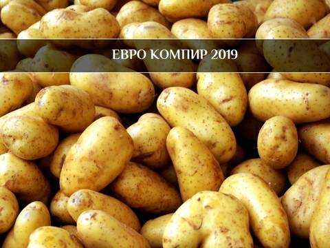 Картофената схема за източване на евро пари?