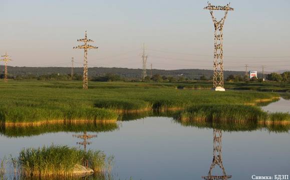 Утре отбелязваме Световния ден на влажните зони