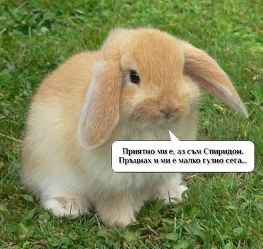 Вицове на Radio VOX за 2-ри февруари (и смешно видео)