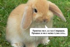 Вицове на Radio VOX за 2-ри февруари (и смешно видео)