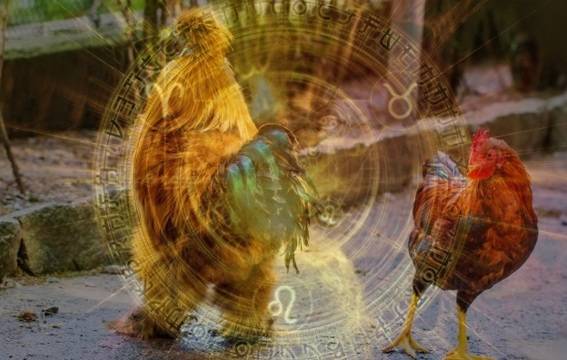 Хороскоп на Radio VOX за 2-ри февруари (Петльовден)