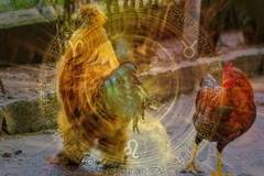 Хороскоп на Radio VOX за 2-ри февруари (Петльовден)