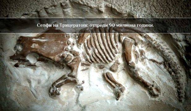 Вкаменелости на 90 милиона година откриха наши учени