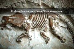 Вкаменелости на 90 милиона година откриха наши учени