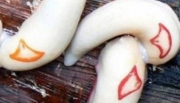 Ако видите това в дома си, имате много сериозен проблем!