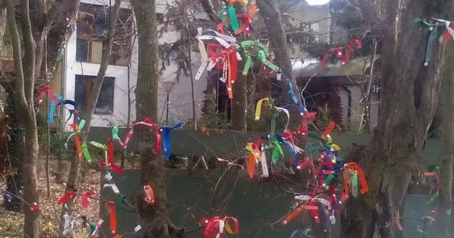 ГРИВНИ ОЛ ИНКЛУЗИВ НАКИЧЕНИ НА ДЪРВО ПРЕД ХОТЕЛ НА ЗЛАТНИ ПЯСЪЦИ РАЗЛИЧНИТЕ НОВИНИ DIFFERENT NEWS