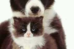 Вицове на Radio VOX за 5-ри февруари (и весело видео)