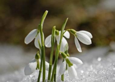 Средиземноморски циклон побърква времето над страната! По-чалнато едва ли може да бъде