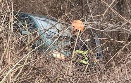 Кола с 2-годишно дете пропадна в 10-метров скат, момченцето е невредимо (СНИМКИ)