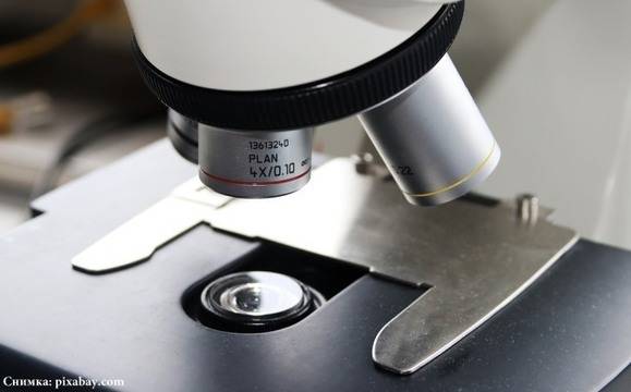 Епидемия от морбили избухна на Филипините