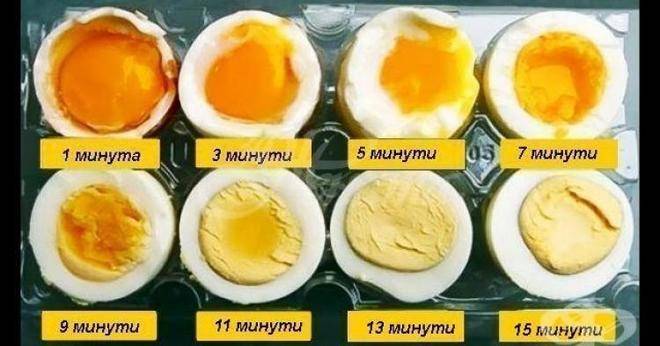 4 добри причини защо трябва да ядете яйца всеки ден