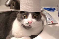 Вицове на Radio VOX за 8-ми февруари (и забавно видео)