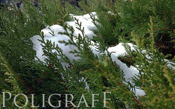 Зимата се завръща в сряда