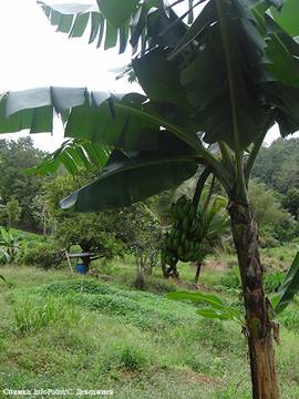 Smart travel #Гренада