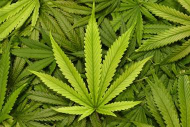 Намериха наркотици в бидон в Брястово