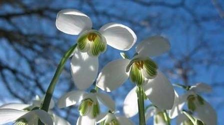 Днес слънчево с максимални температури между 10° и 15°