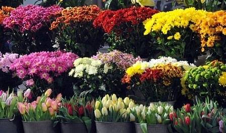 Турция изнася цветя за Холандия по случай Св. Валентин