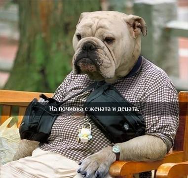 Вицове на Radio VOX за 13-ти февруари (снимка и забавно видео)