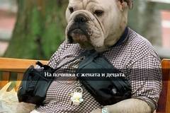 Вицове на Radio VOX за 13-ти февруари (снимка и забавно видео)