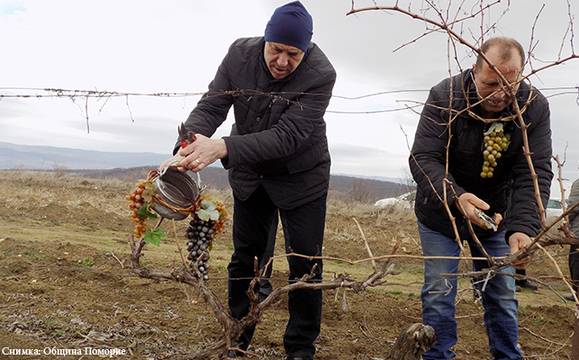 Поморие отбеляза празника на Свети Трифон