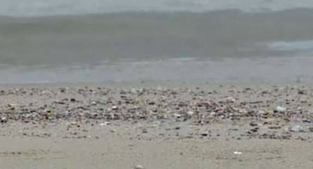 Американски сайт продава пясък от Офицерския плаж във Варна