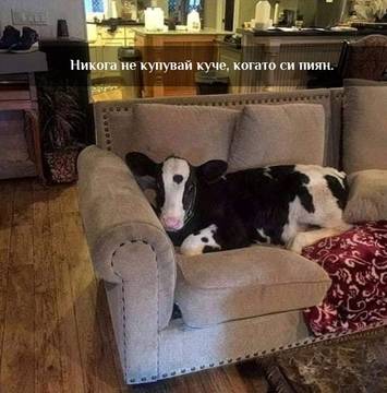 Вицове на Radio VOX за 19-ти февруари (вторник)