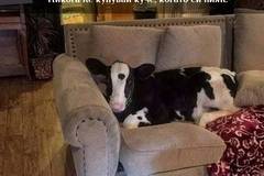 Вицове на Radio VOX за 19-ти февруари (вторник)