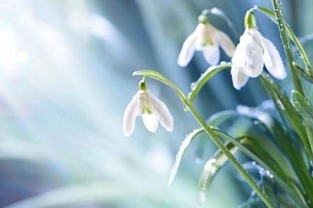 Днес отново слънчево с максимални температури между 12° и 17°